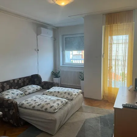 Animi * Novi Sad